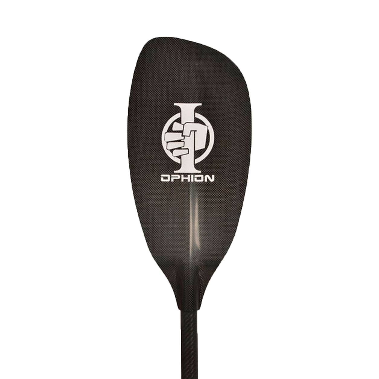 Array
(
    [id] => 3319
    [id_producto] => 280
    [imagen] => 280-3319-comprarequipo-personal-para-deportes-acuaticospalasergo-neutral-benthkatana-allstar-carbono_carbono_ergo_nb.jpg
    [orden] => 0
)
