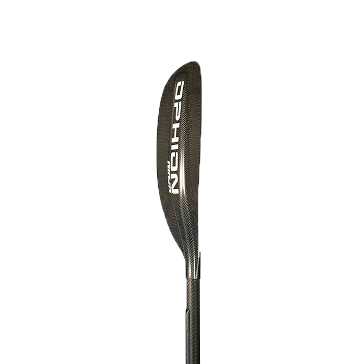 Array
(
    [id] => 3390
    [id_producto] => 295
    [imagen] => 295-3390-comprarequipo-personal-para-deportes-acuaticosninja-carbono_carbono.jpg
    [orden] => 3
)
