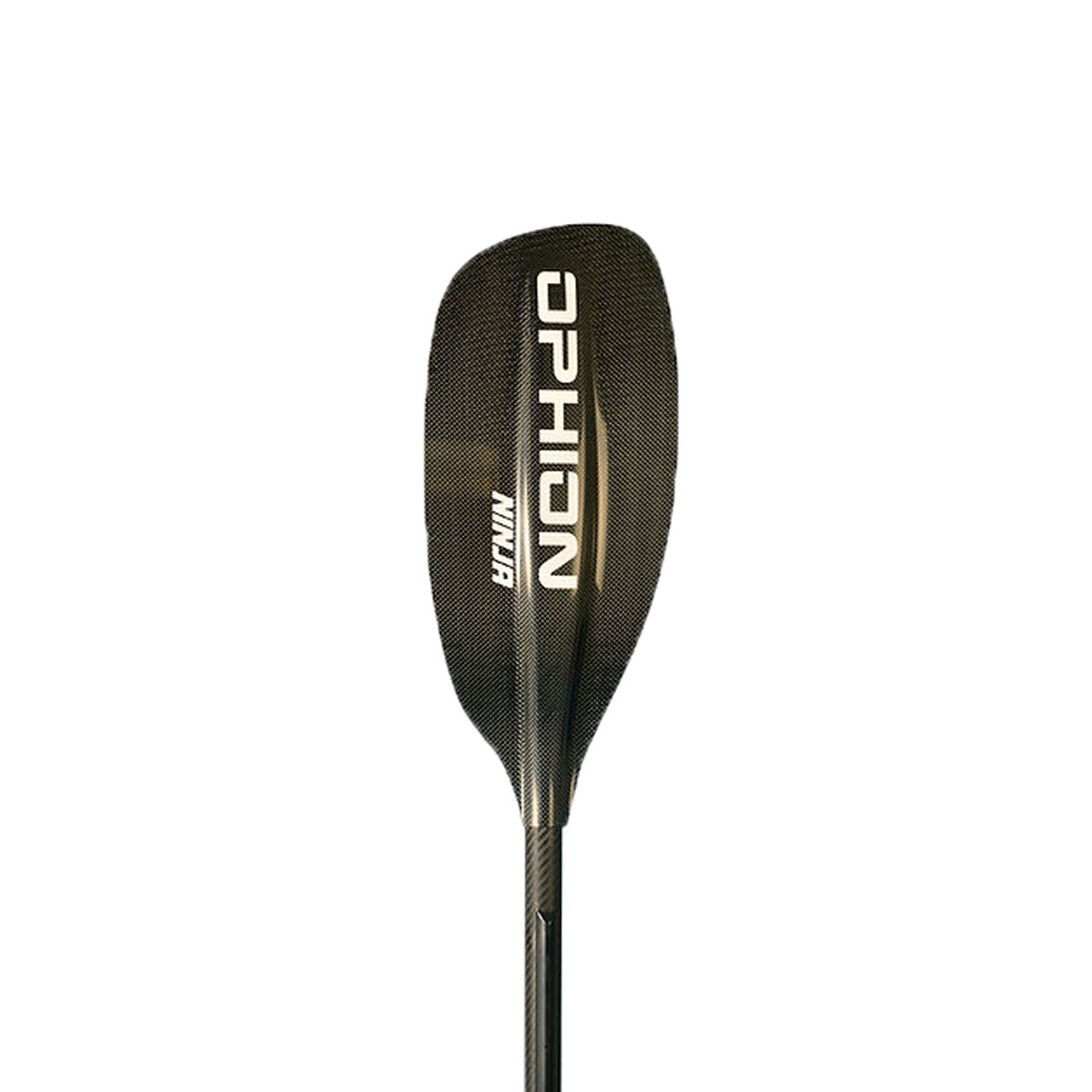 Array
(
    [id] => 3392
    [id_producto] => 295
    [imagen] => 295-3392-comprarequipo-personal-para-deportes-acuaticosninja-carbono_carbono.jpg
    [orden] => 4
)
