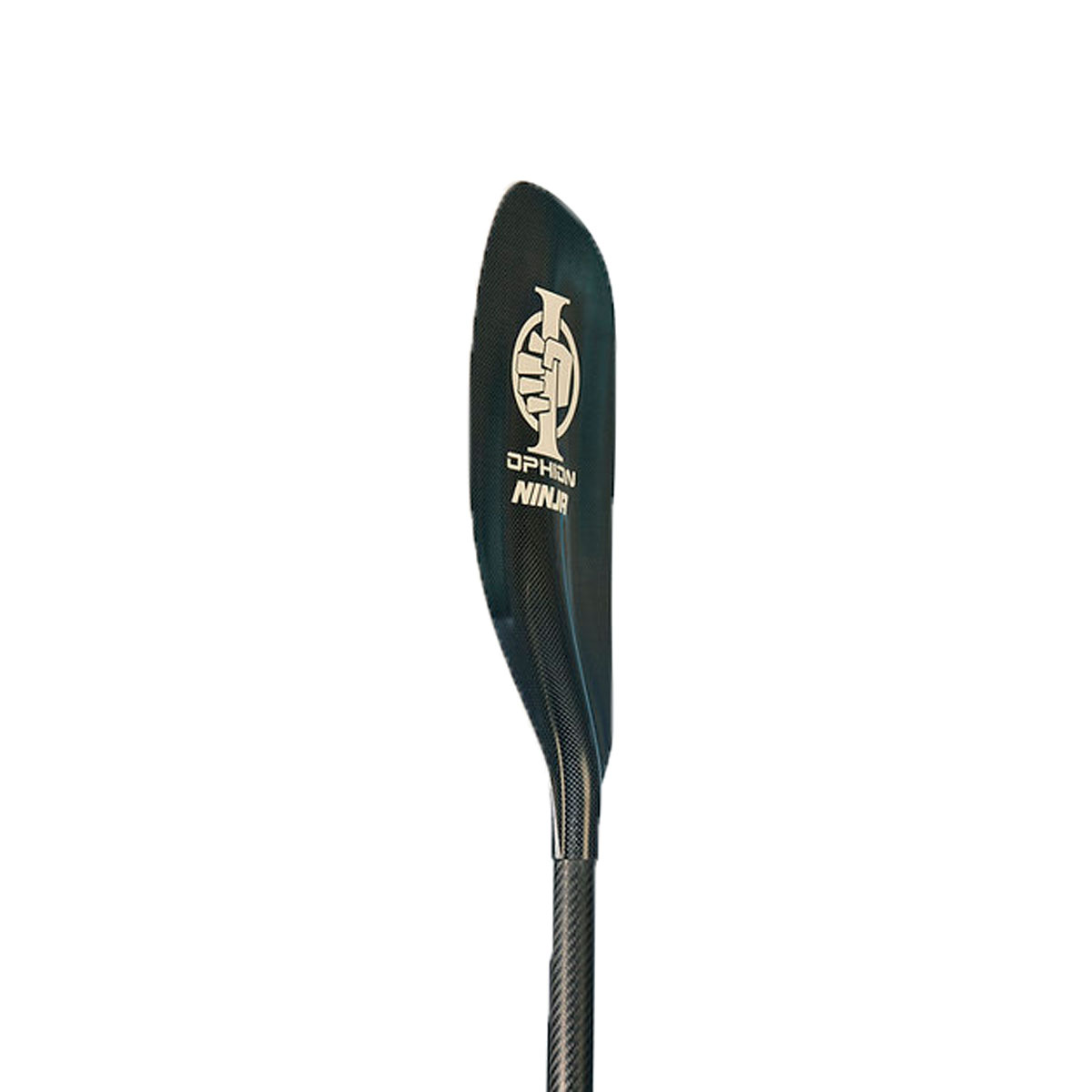 Array
(
    [id] => 3394
    [id_producto] => 295
    [imagen] => 295-3394-comprarequipo-personal-para-deportes-acuaticosninja-carbono_carbono.jpg
    [orden] => 1
)
