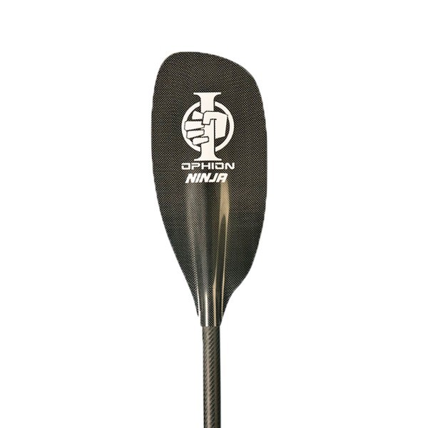 NINJA carbono_carbono