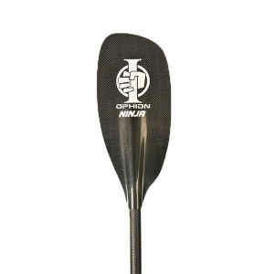 NINJA carbono_carbono_ergo_P/T